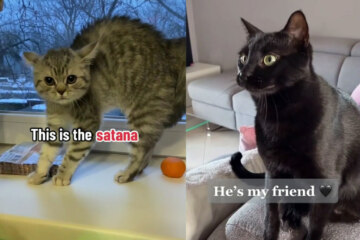 This is a Satana