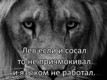 лев если и сосал