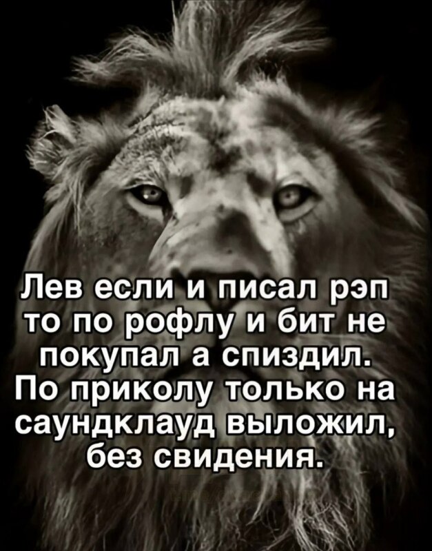 лев если и сосал