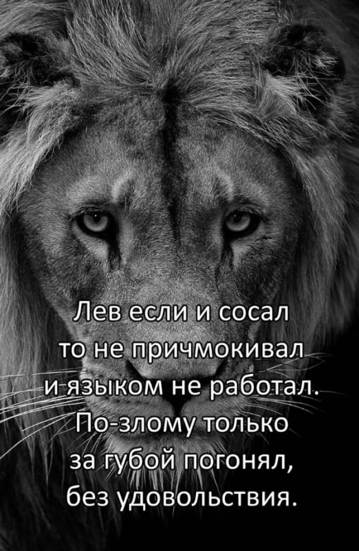 лев если и 