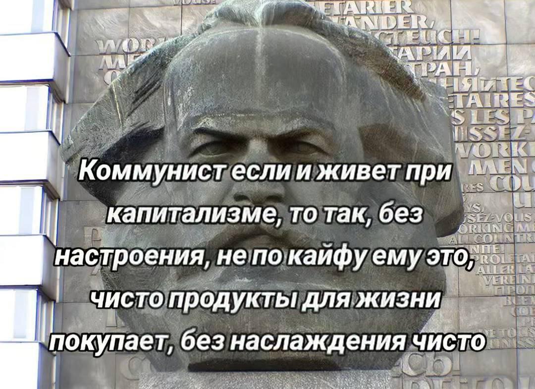 лев если и сосал