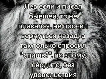 лев если и сосал