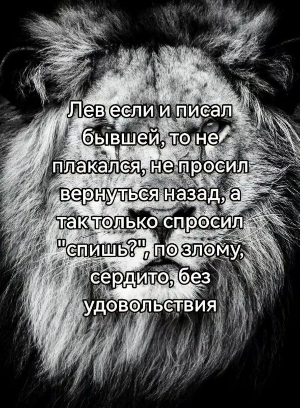 лев если и сосал