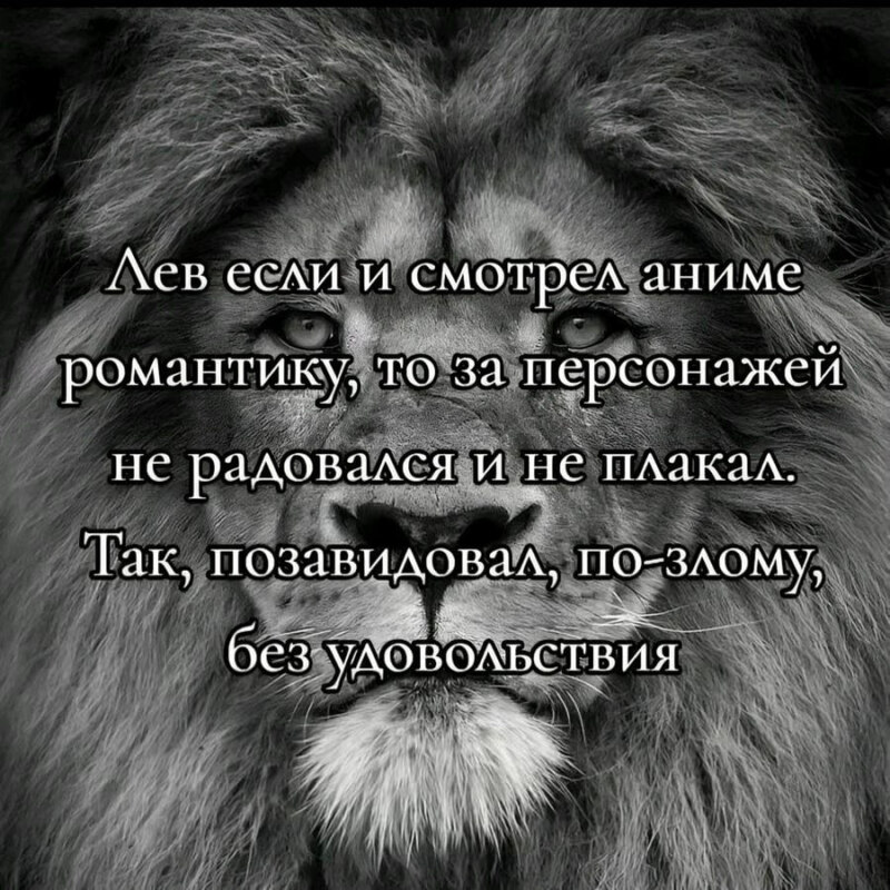 лев если и сосал