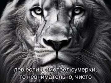 лев если и сосал