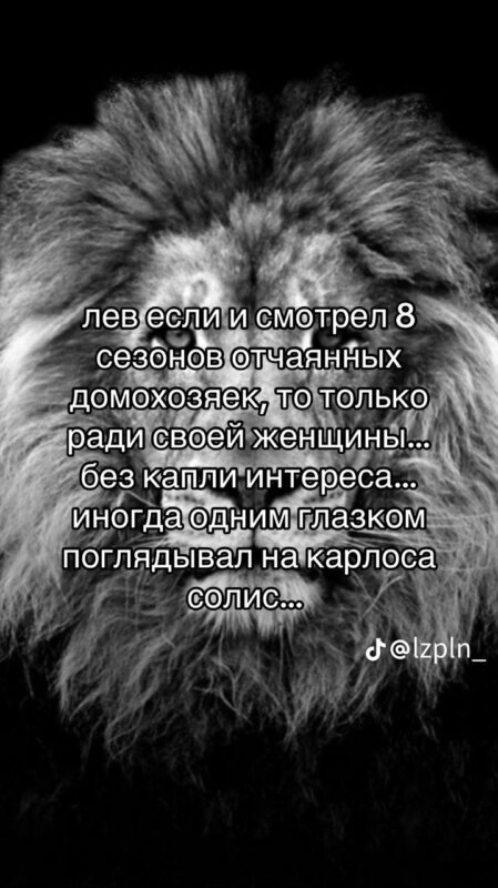 лев если и сосал