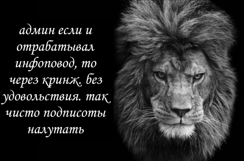 лев если и сосал
