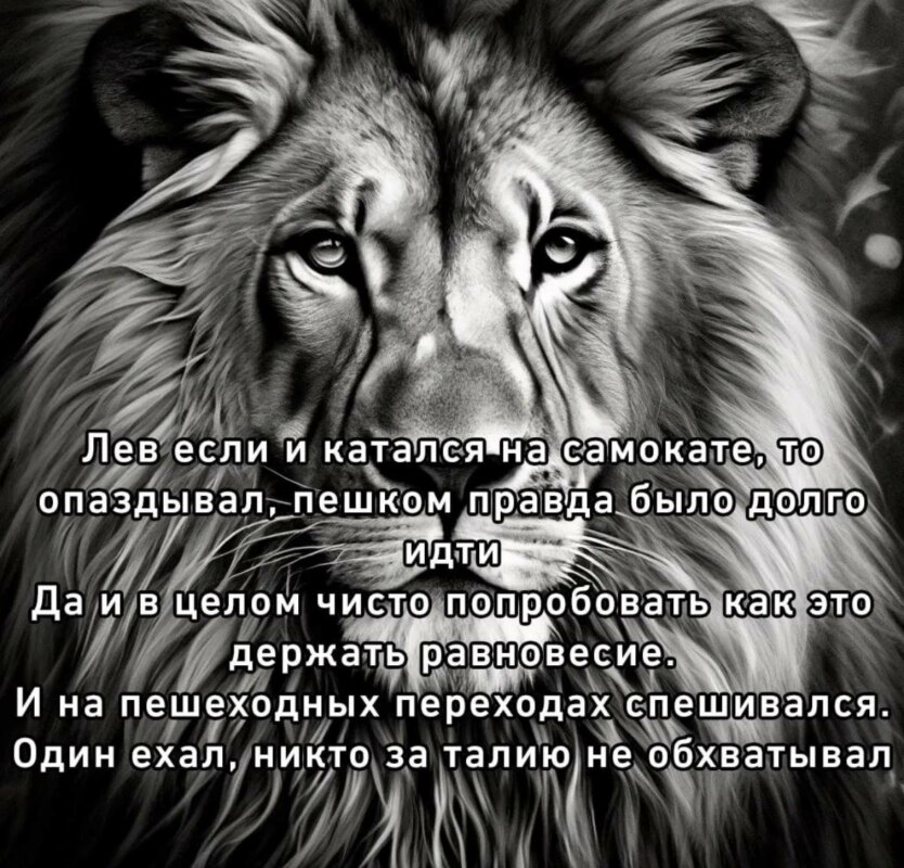 лев если и сосал