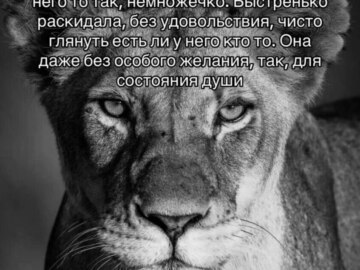 лев если и сосал