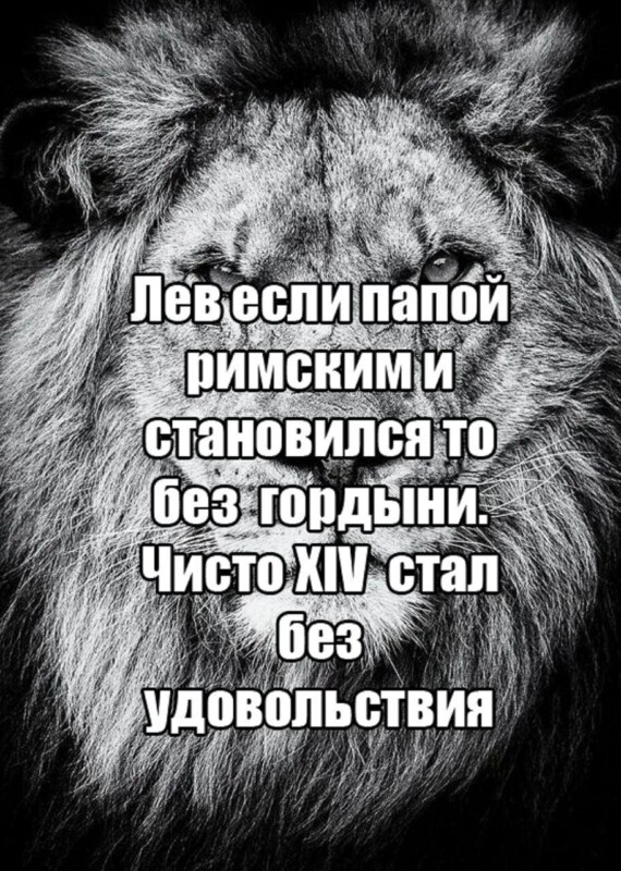 лев если и сосал