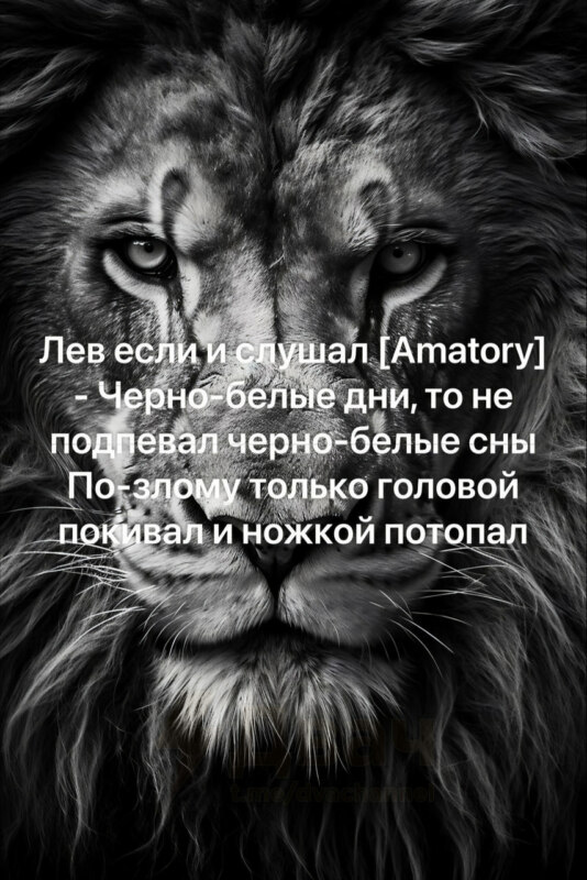 лев если и сосал