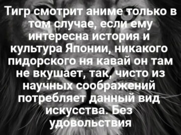 лев если и сосал