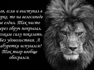 лев если и сосал