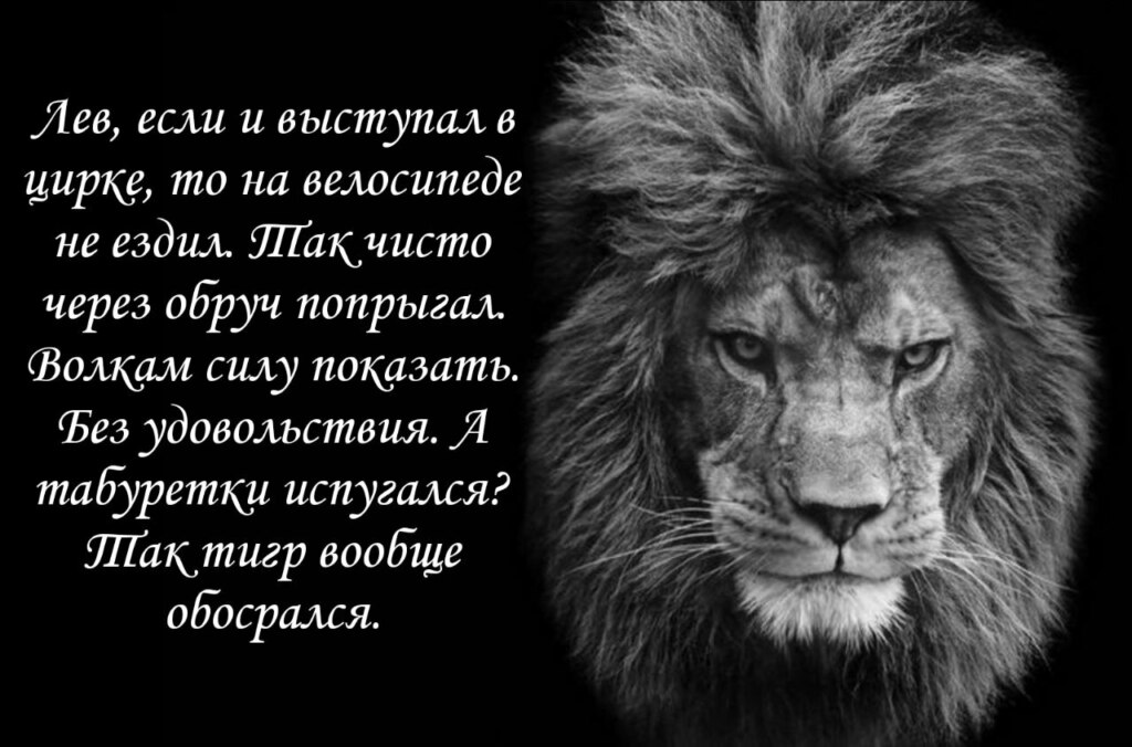 лев если и сосал