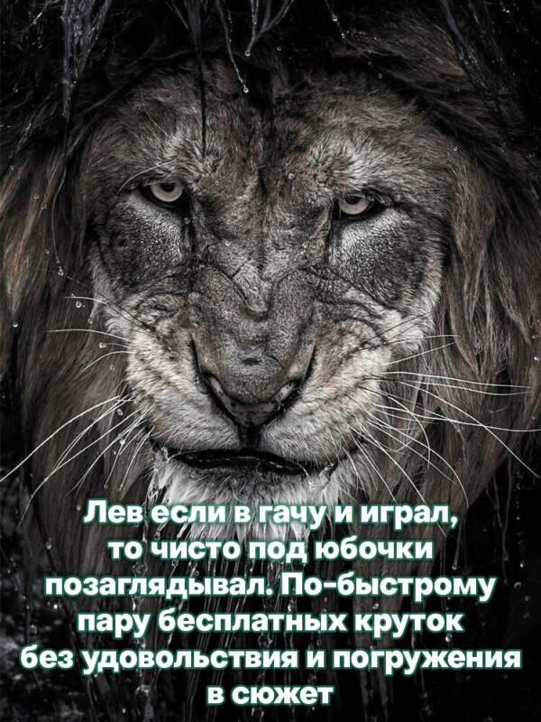 лев если и сосал