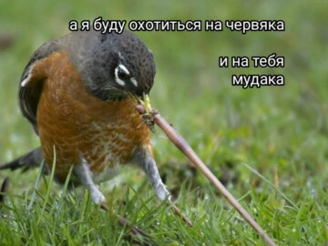 А я буду на жука охотиться на паука
