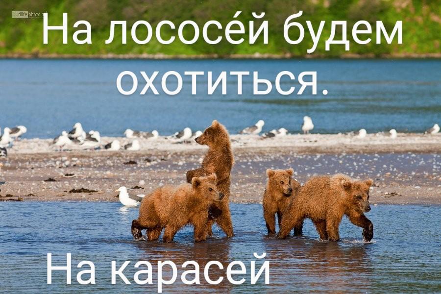 А я буду на жука охотиться на паука
