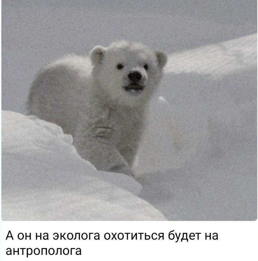 А я буду на жука охотиться на паука