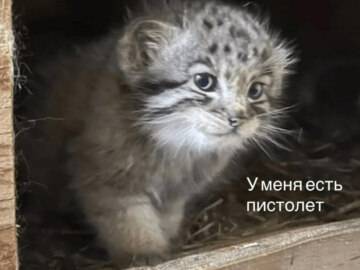 А я буду на жука охотиться на паука