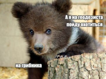 А я буду на жука охотиться на паука