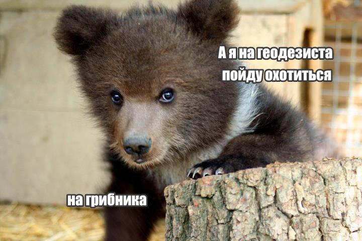 А я буду на жука охотиться на паука