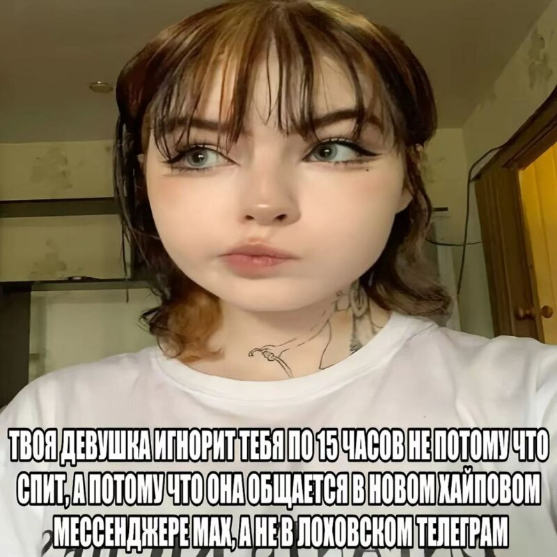 Мессенджер max мемы