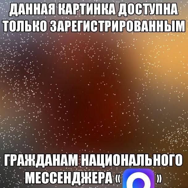 Мессенджер max мемы