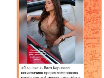 Мессенджер max мемы