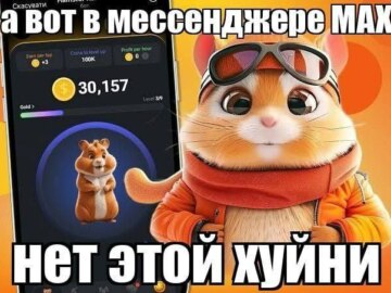 Мессенджер max мемы