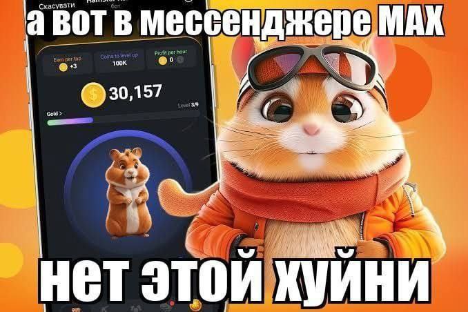 Мессенджер max мемы