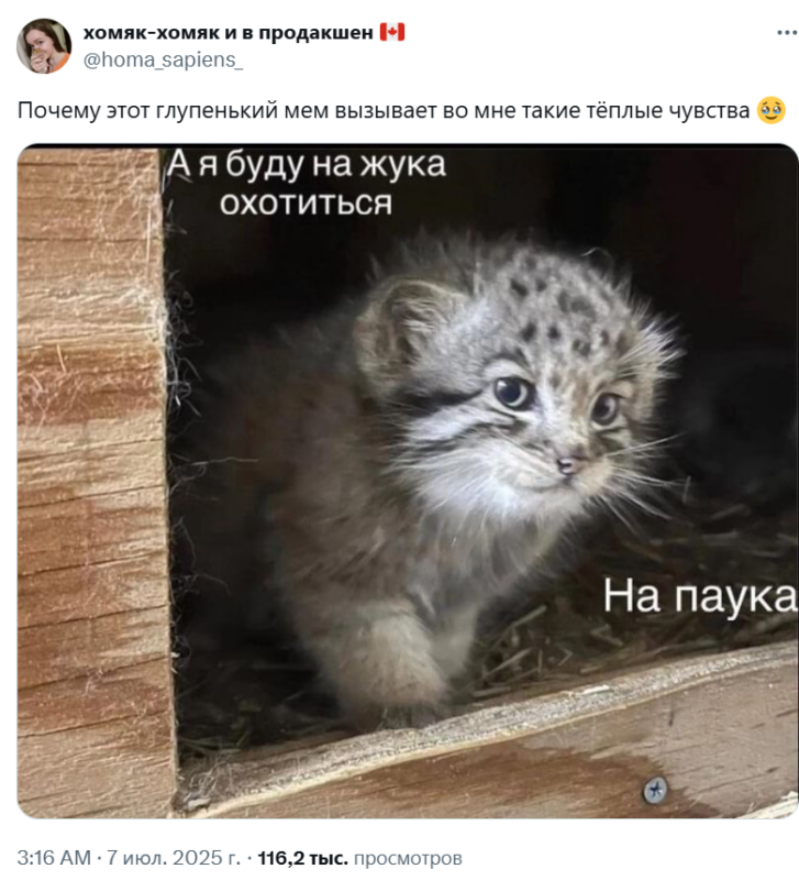 А я буду на жука охотиться на паука