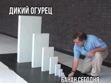 Дикий огурец