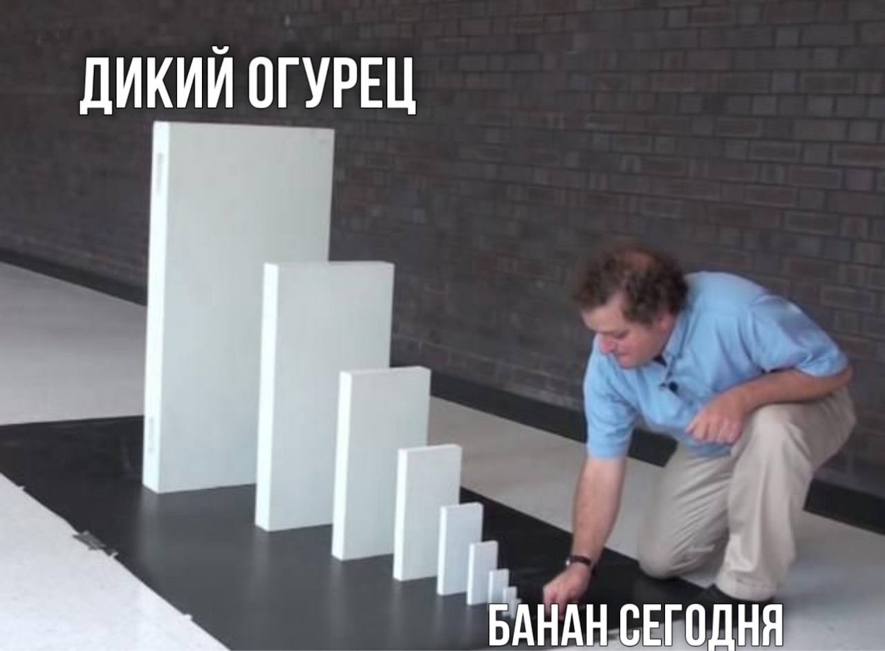 Дикий огурец