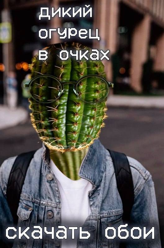 Дикий огурец