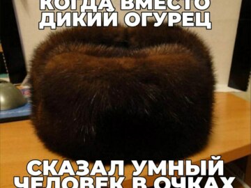 Дикий огурец
