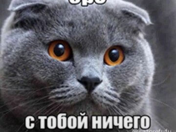 Бро и т.д.