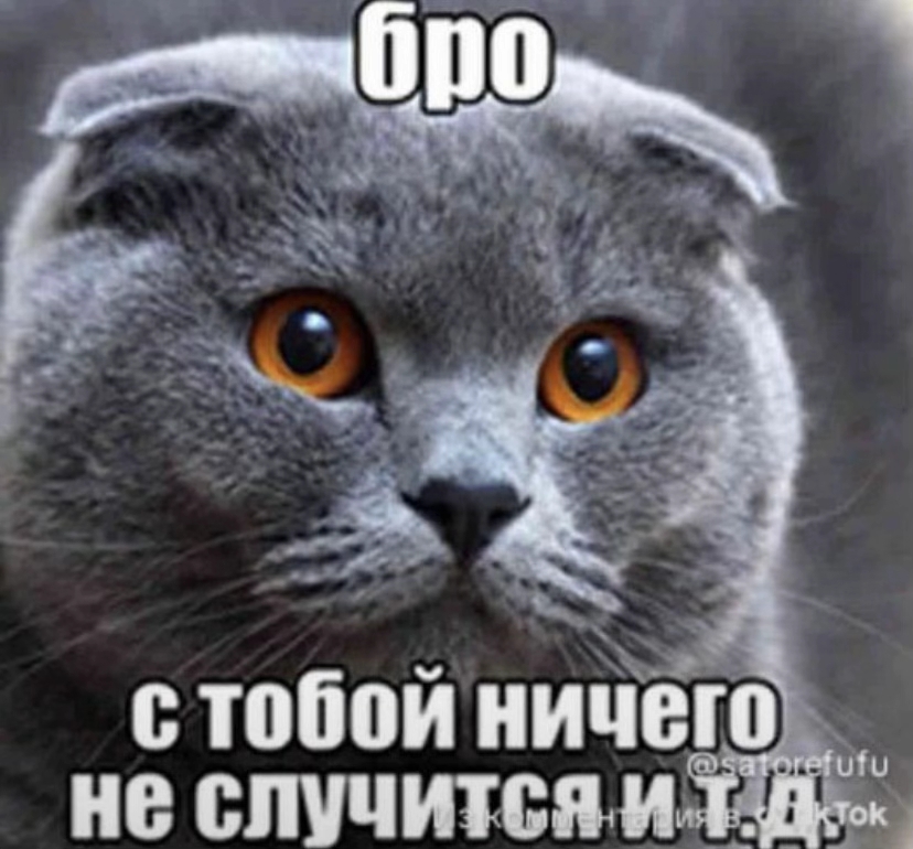 Бро и т.д.