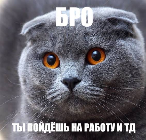 Бро и т.д.