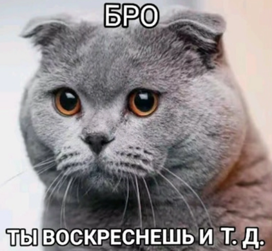 Бро и т.д.