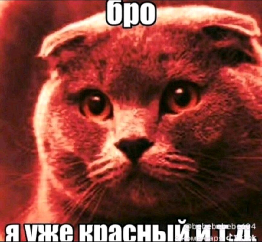 Бро и т.д.