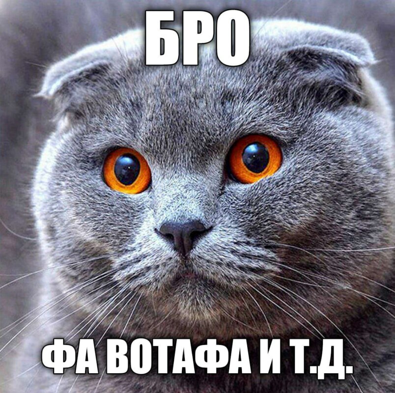 Бро и т.д.