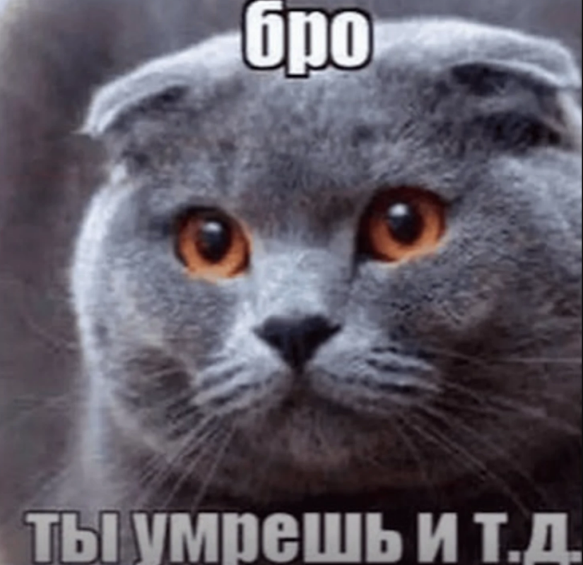 бро ты умрешь и т.д.