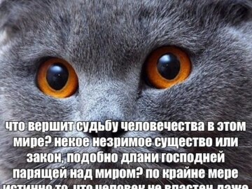 Бро и т.д.