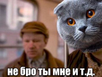 Бро и т.д.