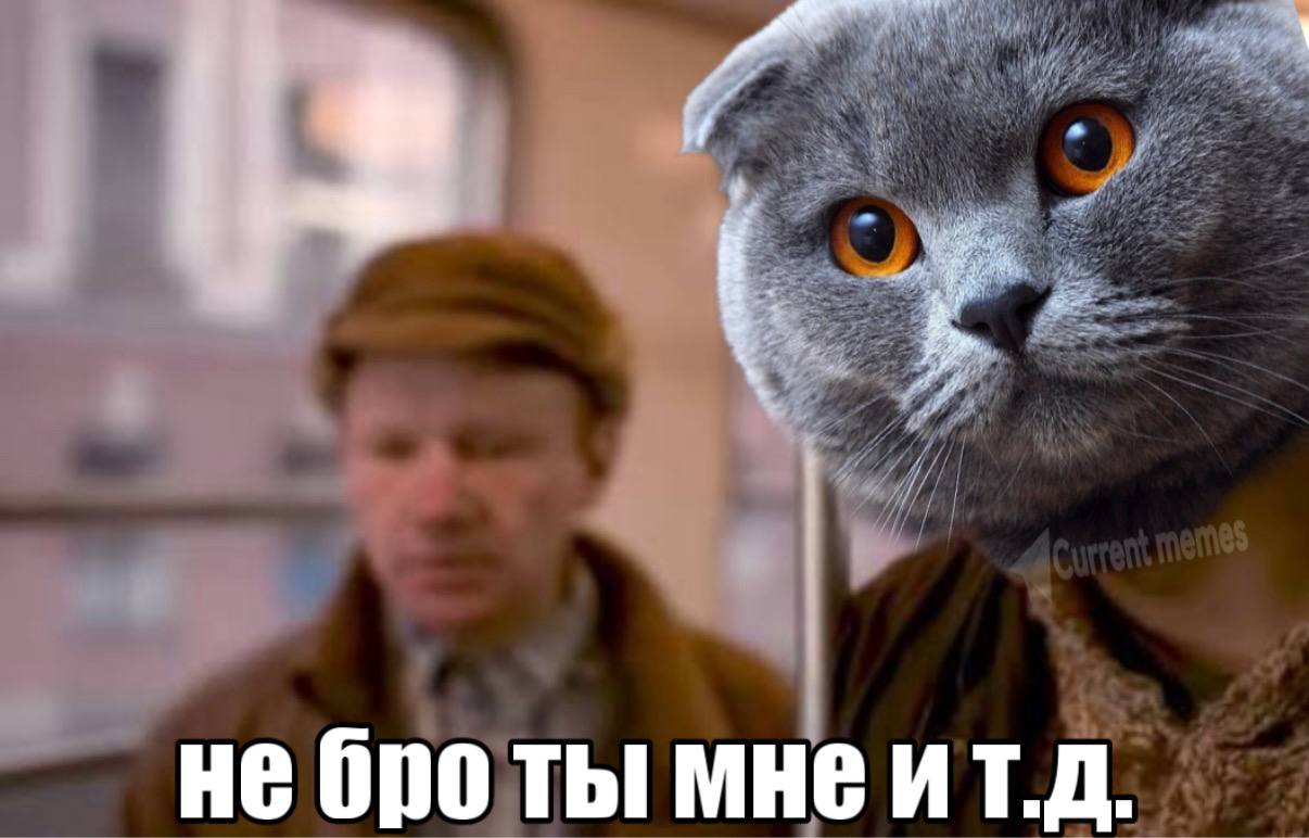 Бро и т.д.