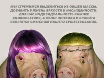 Свинья с короткой стрижкой