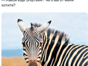 Файлы эпштейна