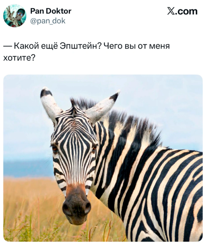 Файлы эпштейна