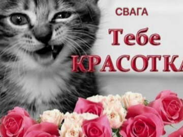 Свага