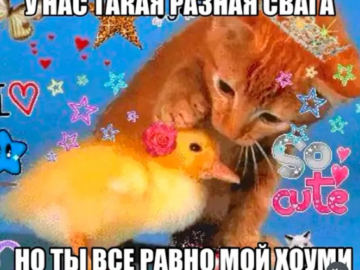 Свага